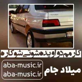 دانلود آهنگ کارمم د واویده شوتی شو کاره