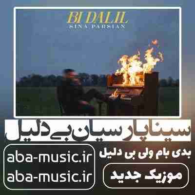سینا پارسیان بی دلیل