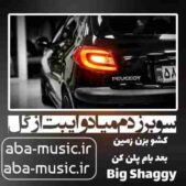 دانلود آهنگ سوبر زدم میاد وایبت از گل
