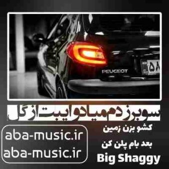 دانلود آهنگ سوبر زدم میاد وایبت از گل