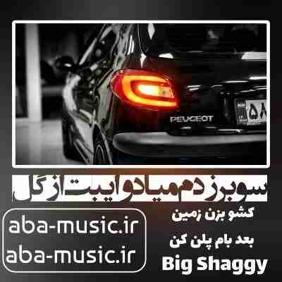 آهنگ سوبر زدم میاد وایبت از گل بیگ شگی