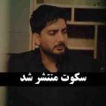 فرزاد فرزین سکوت