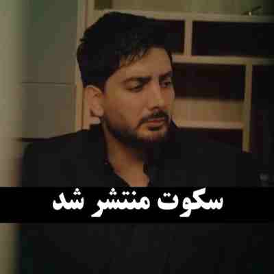 فرزاد فرزین سکوت