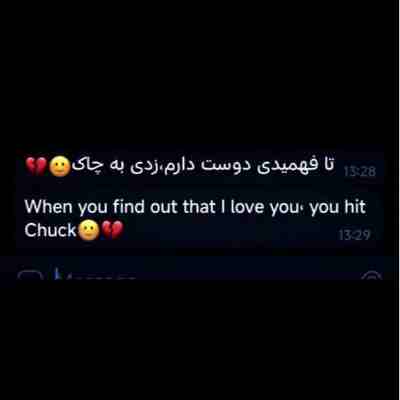 تا فهمیدی دوست دارم زدی به چاک