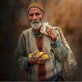 آهنگ ته دوش بال خسته ته دور بگردم