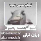 دانلود آهنگ تیرام میس میره ترکی