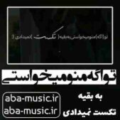 دانلود آهنگ تو اگه منو میخواستی به بقیه تکست نمیدادی