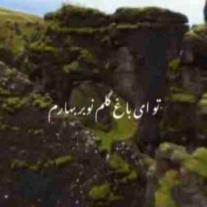 دانلود آهنگ تو ای باغ گلم نوبر بهارم ریمیکس