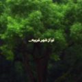 تو از شهر غریبه بی نشونی اومدی ریمیکس