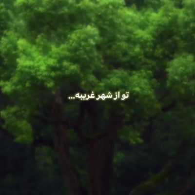 تو از شهر غریبه بی نشونی اومدی ریمیکس