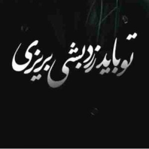 دانلود آهنگ تو باید زرد بشی بریزی تا که سبز بشی بچینی ریمیکس
