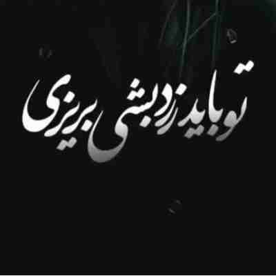 تو باید زرد بشی بریزی تا که سبز بشی بچینی ریمیکس