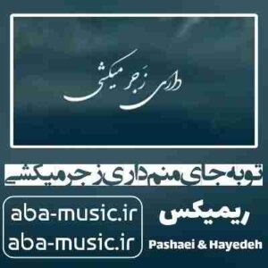 دانلود آهنگ تو به جای منم داری زجر میکشی ریمیکس هایده مرتضی پاشایی