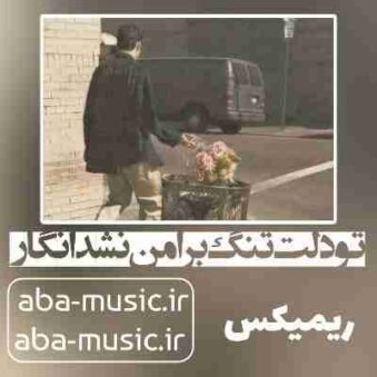 دانلود آهنگ تو دلت تنگ برا من نشد انگار ریمیکس