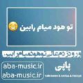 آهنگ ورود زدم عالی تو هود میام رابین