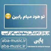 دانلود آهنگ ورود زدم عالی تو هود میام رابین