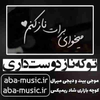 دانلود آهنگ تو که ناز دوست داری میخوای برات ناز کنم با صدای زن ریمیکس