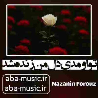 دانلود آهنگ تو اومدی دل من زنده شد با صدای زن