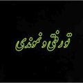 تو رفتیو نموندی دل منو شکوندی ریمیکس