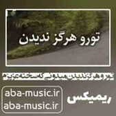 دانلود آهنگ تو رو هرگز ندیدن میدونی که سخته عزیزم ریمیکس