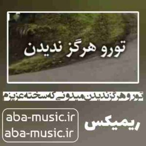دانلود آهنگ تو رو هرگز ندیدن میدونی که سخته عزیزم ریمیکس