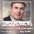 سلیم موذن زاده ای ورن ویرانه یرده