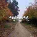 آهنگ سوسن یادت میاد یه روز برات دوست دارم میخوندم
